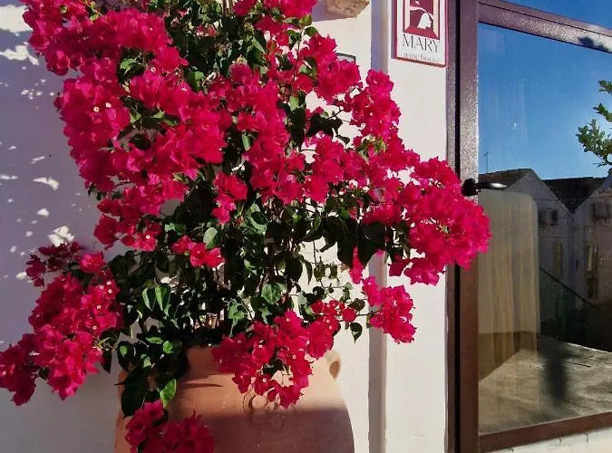 Mary Wine House Pisticci